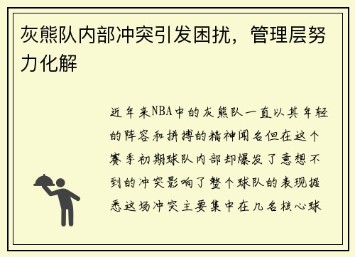 灰熊队内部冲突引发困扰，管理层努力化解